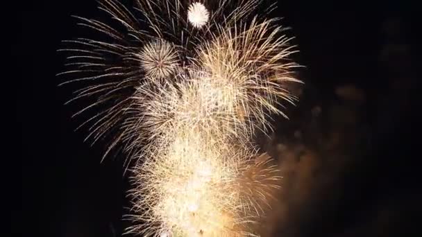 Vuurwerk Miljoenen Voor Heldere Gouden Splashes — Stockvideo