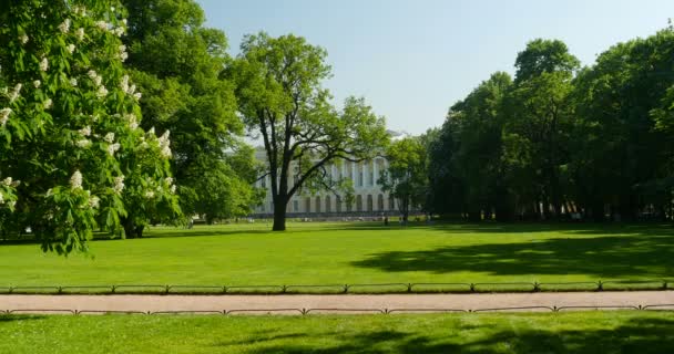 走在一个美丽的皇家公园与盛开的栗树 — 图库视频影像