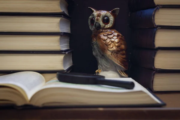 Owl Stacks Books Concept Wisdom — Stock Photo, Image