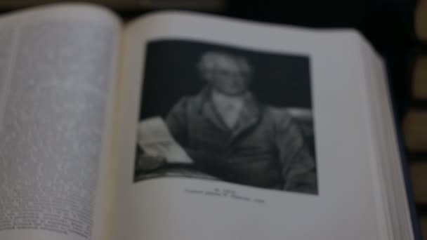 Йоганн Гете Великий Німецький Письменник Портрет — стокове відео