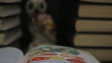 hikmet baykuş kitap yığınları arasında yakınlaştırma