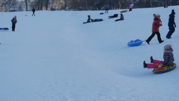 Montar Desde Una Colina Nieve Trineos Tartas Queso Cámara Lenta — Vídeos de Stock