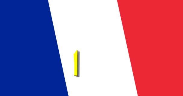 Chaleco Amarillo Bandera Francesa — Vídeo de stock