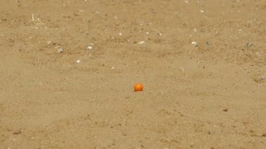 Eğlence oyun Petank, Bocce topu, ağır çekim