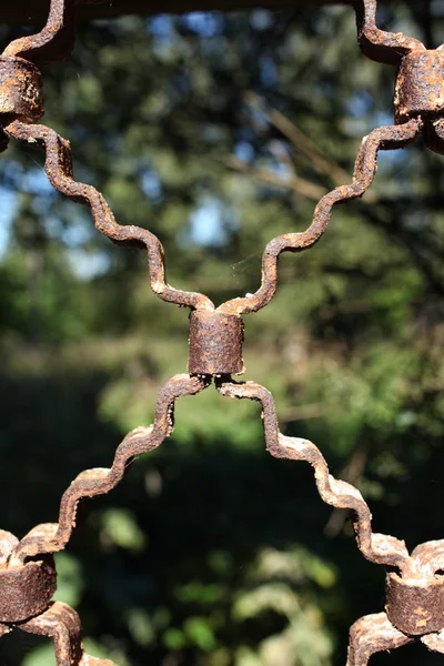 Rusty Vecchia Griglia Metallo Uno Sfondo Natura — Foto Stock