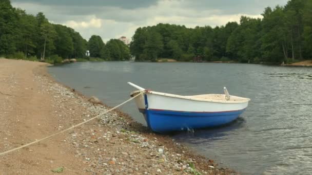 Nehir Kıyısında Üzerinde Kürek Kürek Tekne Palamarla — Stok video