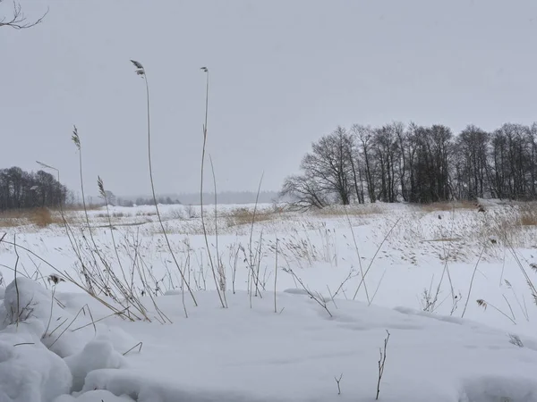 Landsbygdens Vinterlandskap Snödrivor Snöstorm — Stockfoto