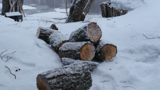 Snowfall Winter Landscape Snow Drifts Sawn Wood — Stock Video