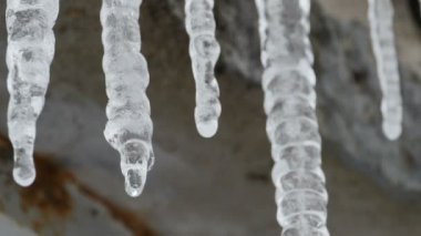 Buz sarkıtları damla Kaynak suyu akan kar erir
