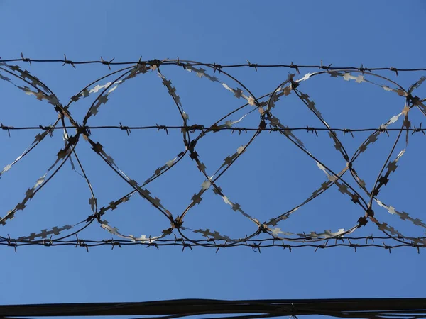 Barbed Wire Fence — Stock Photo, Image