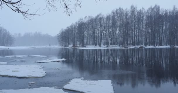 River Bank Winter Landscape Snowfall Forest Reflection Water — Stock Video