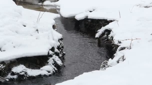 Creek Pod Kamerą Śniegu Ruchu — Wideo stockowe