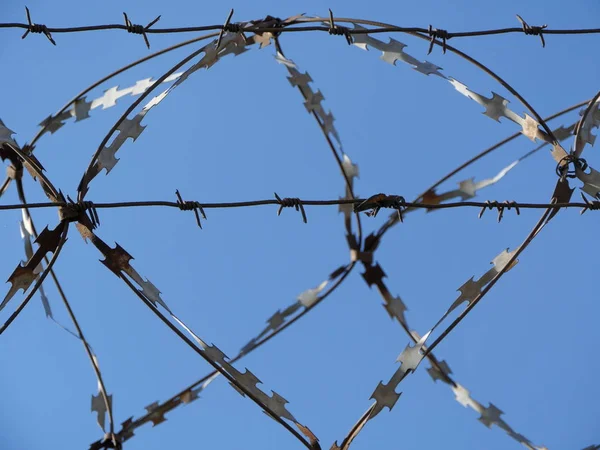 Barbed Wire Razor Wire Low Angle View — Stock Photo, Image