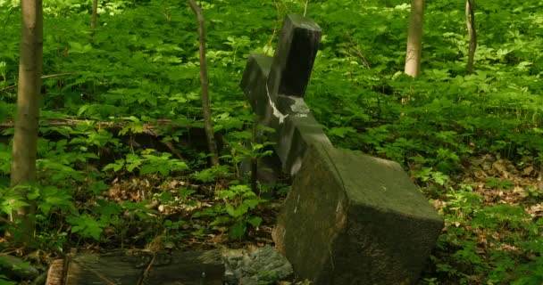 Croix Tombée Dans Vieux Cimetière — Video