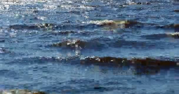 Mare Blu Onde Marine Con Whitecaps — Video Stock