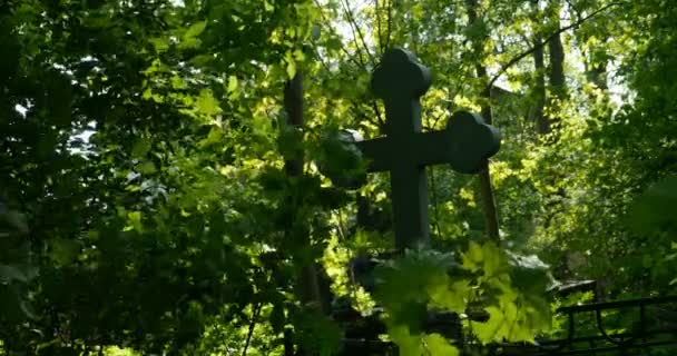 Grave Croce Tra Verde Lussureggiante Del Cimitero — Video Stock