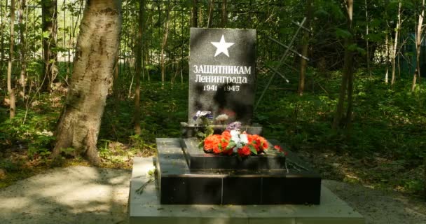 Petersburg Rusland April 2019Monument Voor Onbekende Soldaat Begraafplaats Inscriptie Steen — Stockvideo