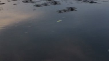 Kürek tekne kürek su ile kürek