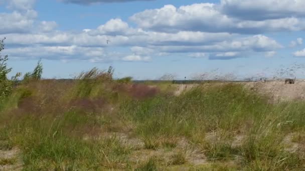 Oigenkännliga Människor Öde Vild Strand Blåsigt Väder Panorama Utsikt Över — Stockvideo