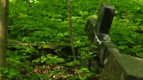 Stone Grave Cross Fallen Old Cemetery Panorama — Stock Video