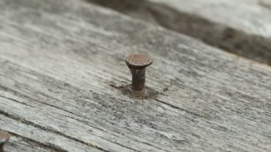 bir çivi dışarı yapışan bir balyoz ile bir şapkanın üstüne çekiç, Japon kültüründe bireycilik, yavaş hareket kabul edilmemesi kavramı dövülerek