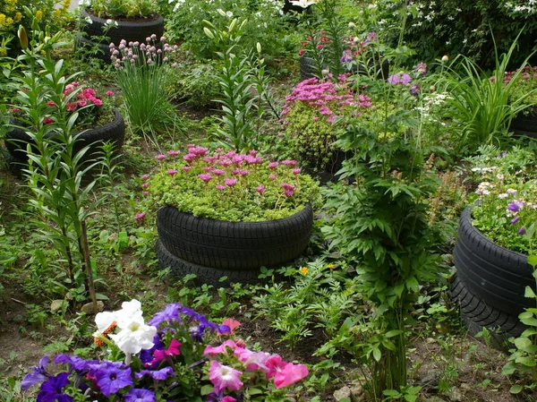 Blommande Liten Trädgård Närheten Garaget Med Däck — Stockfoto