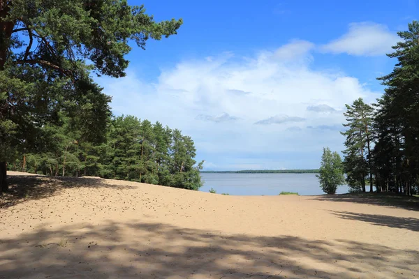 Живописный вид на пляж на озере среди сосен — стоковое фото
