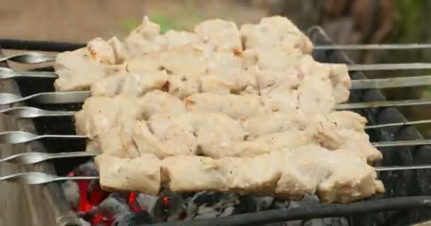 Мясо Шампуре Варить Горячих Углях Время Истекает — стоковое видео