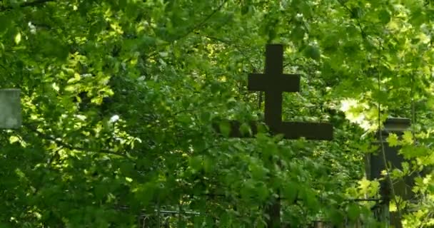 Cruz Tumba Entre Vegetación Del Cementerio — Vídeos de Stock