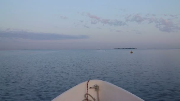 Mare Dalla Barca Bordo Mattino Uccelli Che Volano Sopra Testa — Video Stock