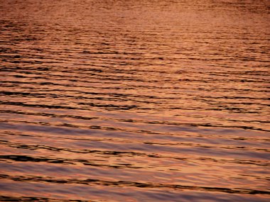 su altın renk güneş deniz yüzeyi arka plan boyalar