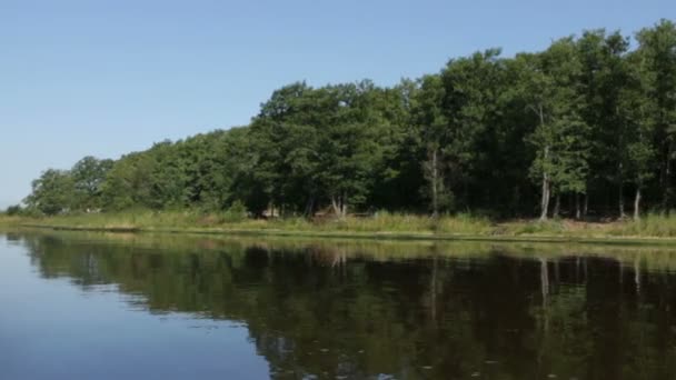 Forest River Bank Beautiful Landscape View Boat — Stock Video