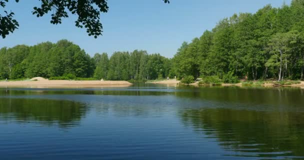 Sommer Malerische Flusslandschaft Karelische Landenge — Stockvideo