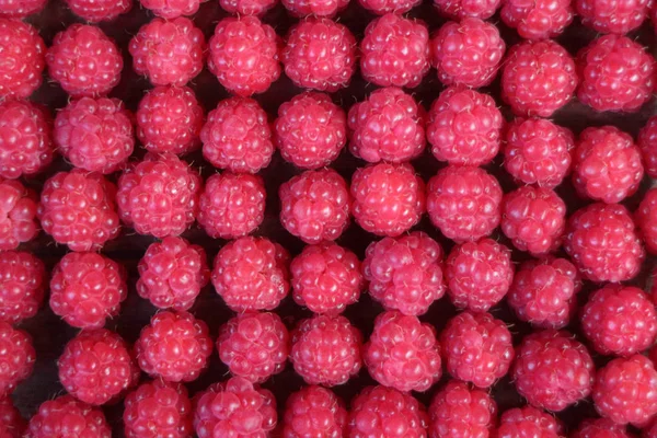 Red berry raspberries laid out in a row — Stock Photo, Image