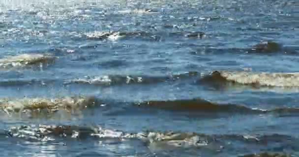 Vagues Mer Sur Plage — Video
