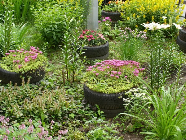 Small Garden Flower Bed Old Tires — стоковое фото