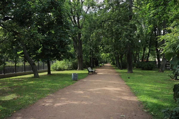 Аллея в зеленом городском парке — стоковое фото
