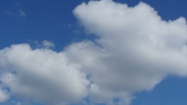 Putih Cumulus Awan Langit Biru Waktu Lapse — Stok Video