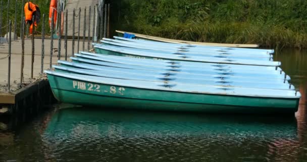 船码头 一排划船停泊 — 图库视频影像