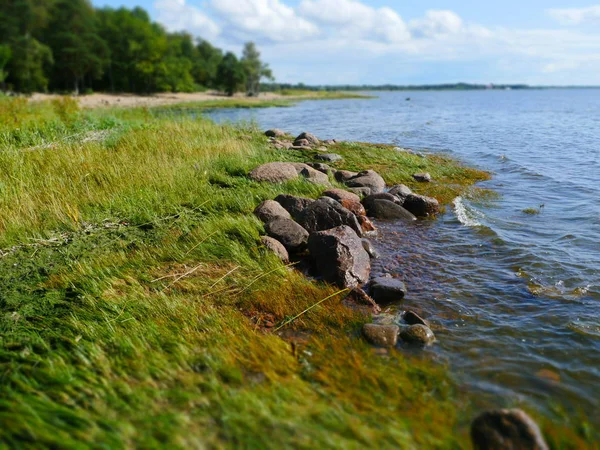 Pittoreska Sjöstranden Sommaren Stenblocken Förgrunden Tilt — Stockfoto