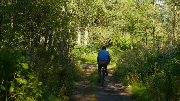 Ciclista Homem Montando Uma Bicicleta Montanha Uma Pitoresca Estrada Florestal — Vídeo de Stock