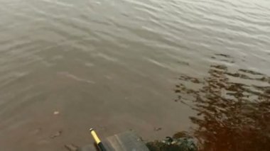 olta ile kupa balık 