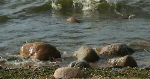 大きな岩に打ち寄せる湖岸の波 — ストック動画