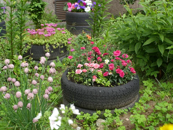 盛开的花园与旧轮胎在前景 — 图库照片
