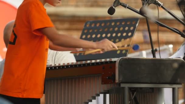 Jovem Músico Tocando Vibrafone — Vídeo de Stock