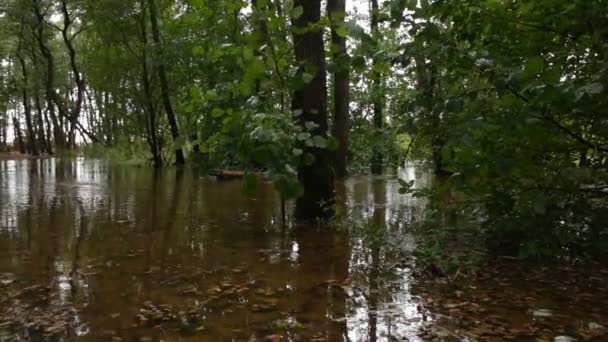 Översvämning Förvandlas Liten Bäck Till Flod Efter Regn Panorama — Stockvideo