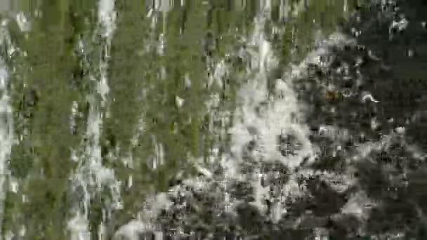 Schiere Vertikale Grüne Wasserfall Nahaufnahme Hintergrund — Stockvideo