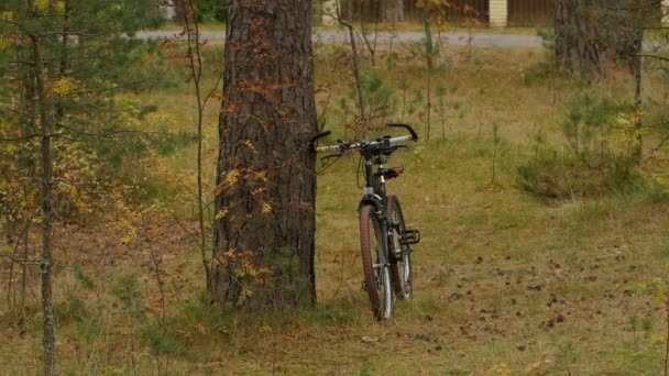 Ποδήλατο Ταξίδι Κίτρινο Φθινόπωρο Ποδήλατο Στο Προσκήνιο — Αρχείο Βίντεο