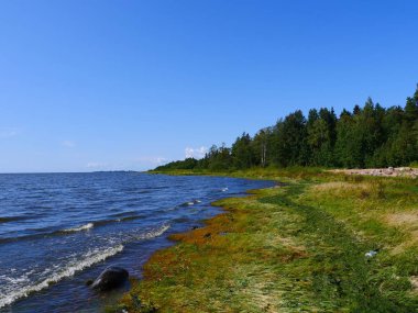 Güneşli bir günde mavi gölün kıyılarının manzarası.