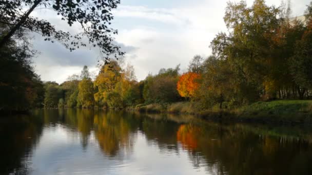 Bellissimo Paesaggio Autunnale Alberi Colorati Riflessi Nel Fiume — Video Stock